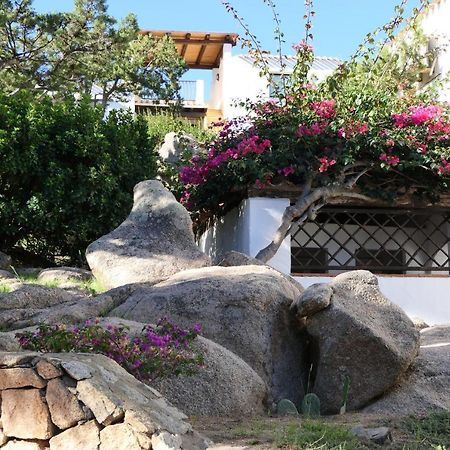 Residence Con Piscina A Liscia Di Vacca, 350 Mt Dal Mare, 3 Km Da Porto Cervo Екстериор снимка